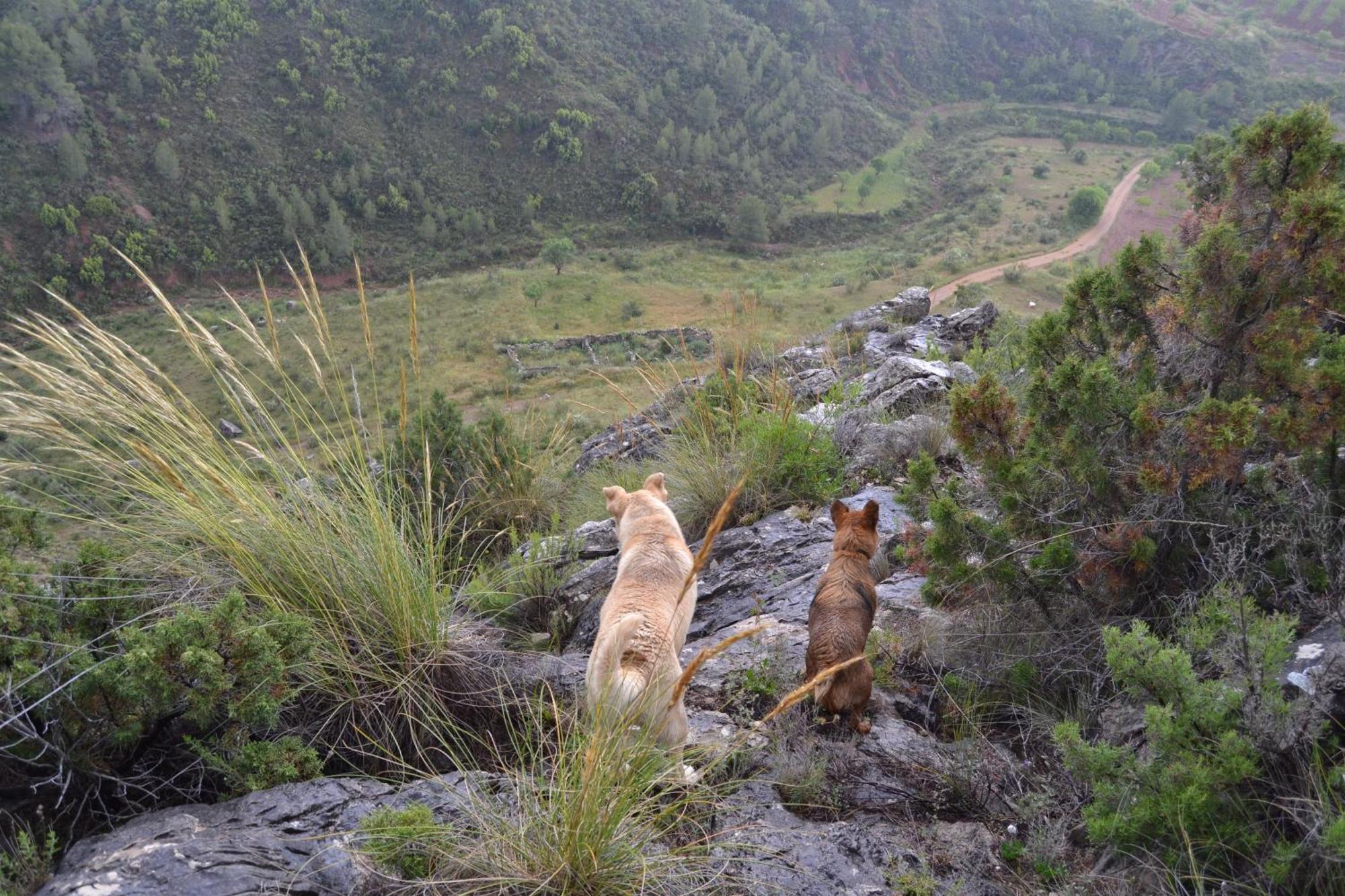 Las Casas De La Vega Enguídanos Buitenkant foto